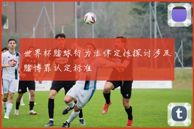世界杯赌球行为法律定性探讨涉及赌博罪认定标准