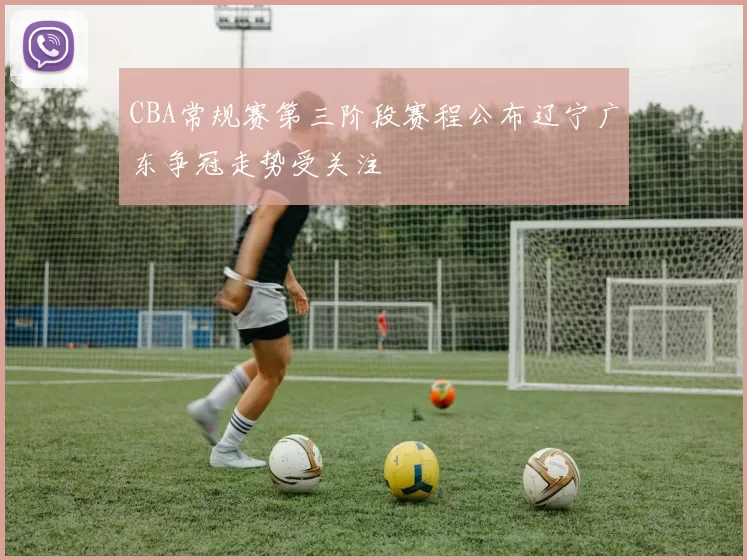 CBA常规赛第三阶段赛程公布辽宁广东争冠走势受关注