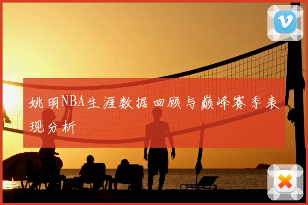 姚明NBA生涯数据回顾与巅峰赛季表现分析