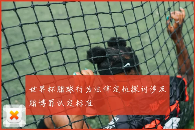 世界杯赌球行为法律定性探讨涉及赌博罪认定标准